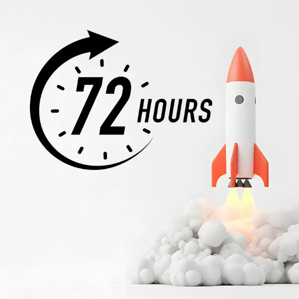 rapid MVP development